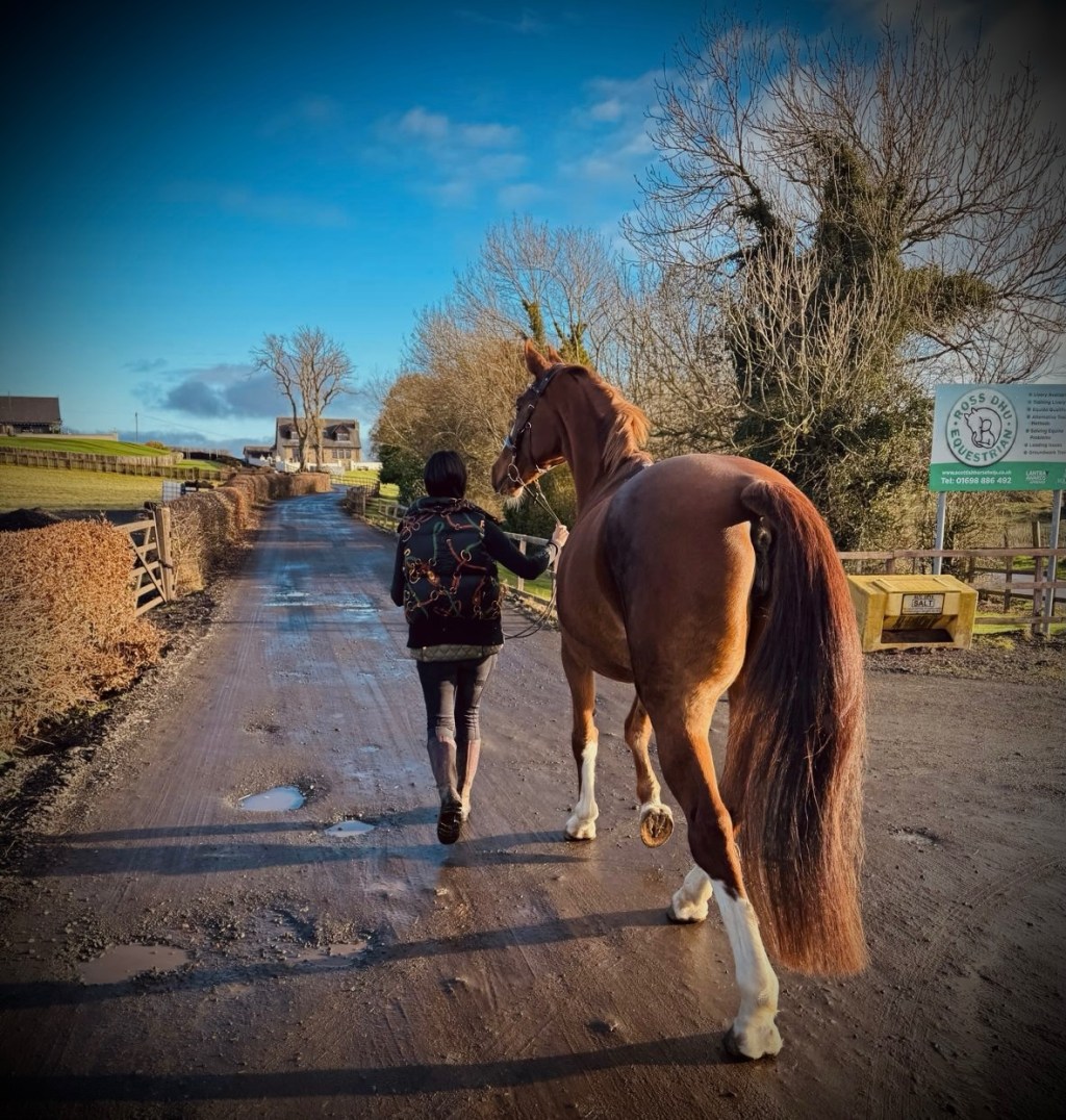 When the going gets tough – the tough get&nbsp;going.